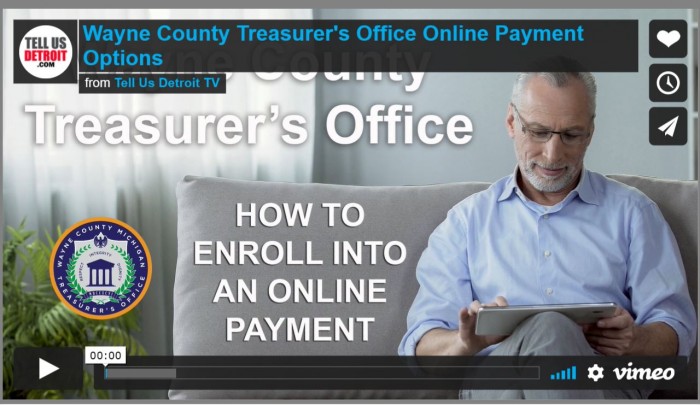 Wayne County Online Payment Options